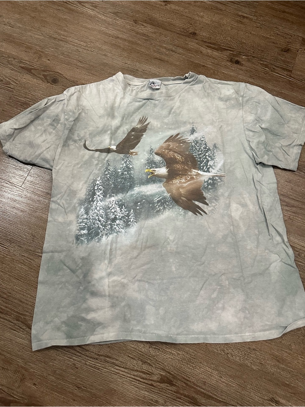 Men's Light Gray Eagle Graphic Short Sleeve Tee - Classic Nature Print